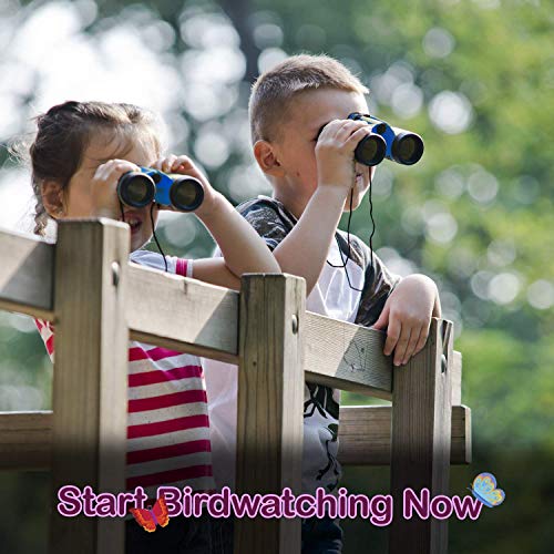 Kidz Xplore-Outdoor Explorer Set, Bug Catching Kit, Nature Explora...