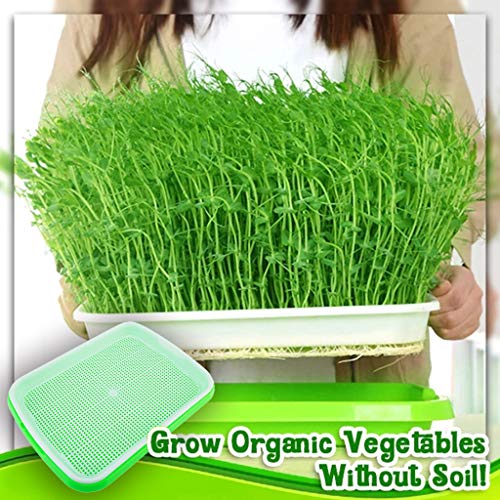 KimBird 5 of Pack Durable Green Plastic Planting Trays Encrypted ...