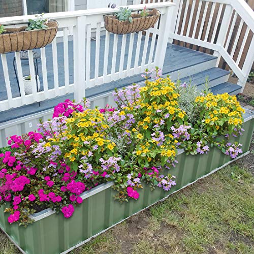 KING BIRD Extra-Thick 2-Ply Reinforced Card Frame Raised Garden Be...