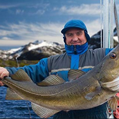 kingforest 10pcs Fishing Lures Spinnerbait for Bass Trout Salmon W...