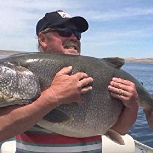 kingforest 10pcs Fishing Lures Spinnerbait for Bass Trout Salmon W...