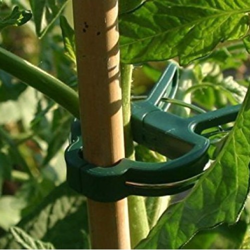 60 Pcs Plant Support Clips,Flower and Vine Clips,Garden Tomato Pla...