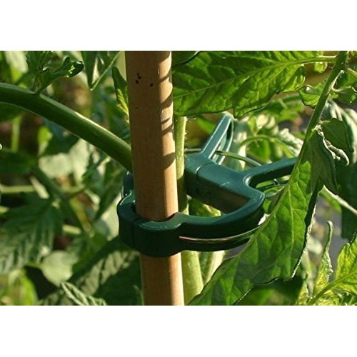 60 Pcs Plant Support Clips,Flower and Vine Clips,Garden Tomato Pla...