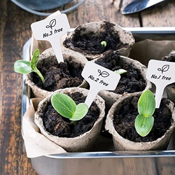 KINGLAKE 100 Pcs 6 x10cm Plastic Plant T-Type Tags Nursery Garden ...