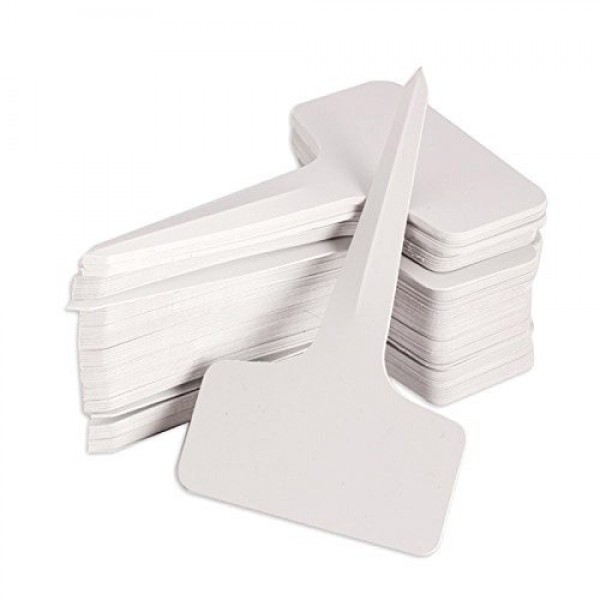 KINGLAKE 100 Pcs 6 x10cm Plastic Plant T-Type Tags Nursery Garden ...