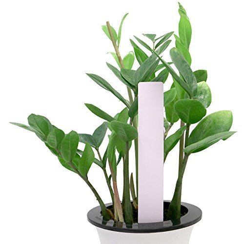 KINGLAKE 100 Pcs Large 7.8 inch Plastic Plant Label Nursery Garden...