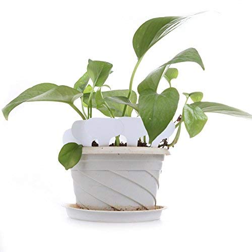 KINGLAKE 100 Pcs White Plastic Plant Labels Waterproof T-Type Plan...
