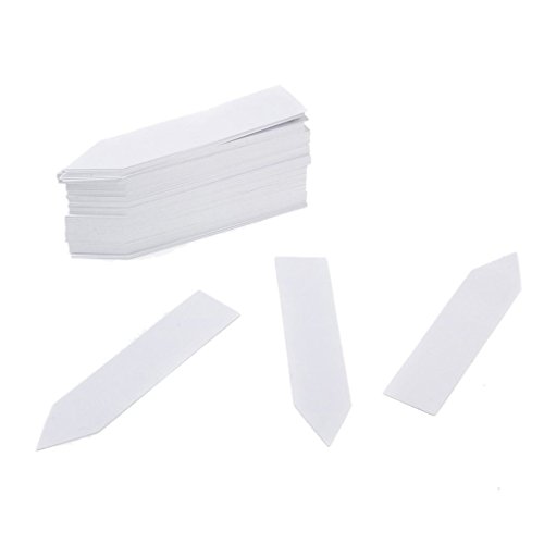 KINGLAKE 1000 Pcs 4 Inch Plant Tags Garden Nursery Labels Plastic ...