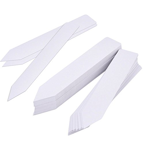 KINGLAKE 100PCS 1x6 Plastic Plant Garden Labels Large Nursery Ga...
