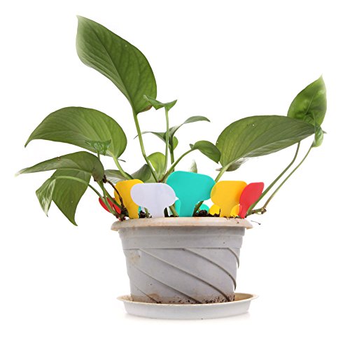 KINGLAKE 500 Pcs 5 Colors Waterproof Plastic Plant Labels T-Type P...