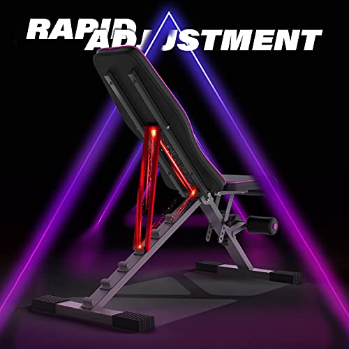 Adjustable Weight Bench, Exercise Workout Bench for Full Body Work...