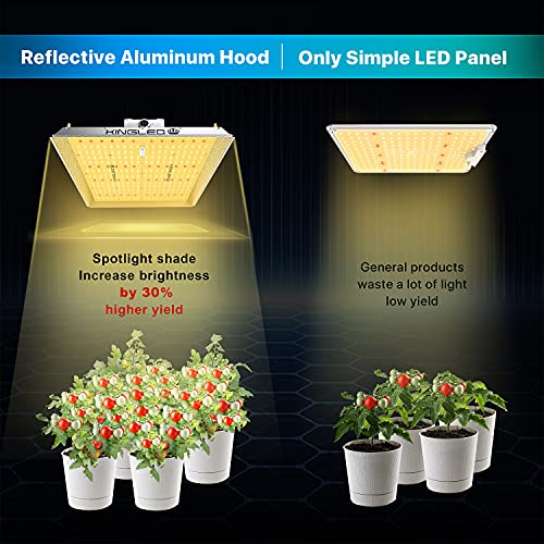 KingLED UL2000 LED Grow Light 4x4ft Coverage Upgraded Full Spectru...