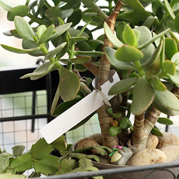 KINJOEK 1200 PCS White Plant Labels, PVC Plant Tags for Garden Adj...