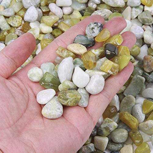Crystal and Gemstone Rocks for Plants, Succulents, Fairy Garden Bi...