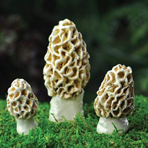 MIABE Ornaments - Miniature Fairy Garden Supplies for Morel Escule...