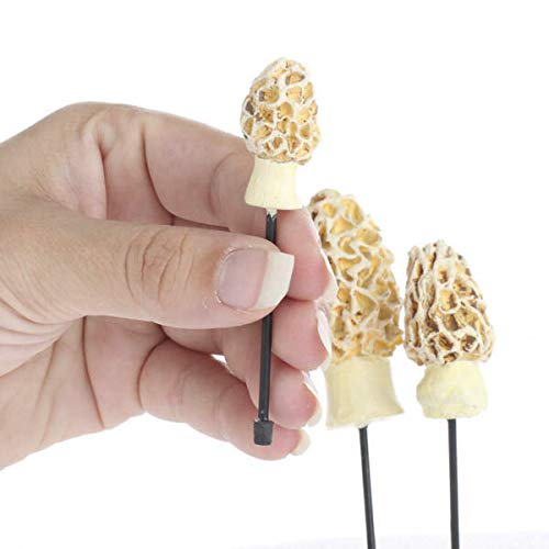 New Ornaments - Miniature Fairy Garden Morel Esculenta Mushrooms A...