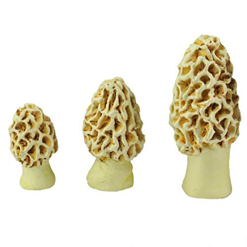 New Ornaments - Miniature Fairy Garden Morel Esculenta Mushrooms A...