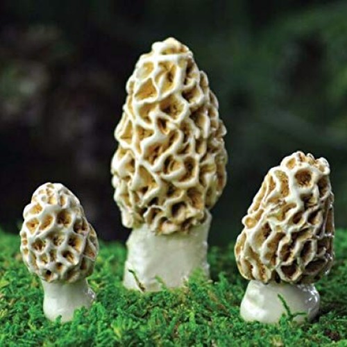 New Ornaments - Miniature Fairy Garden Morel Esculenta Mushrooms A...