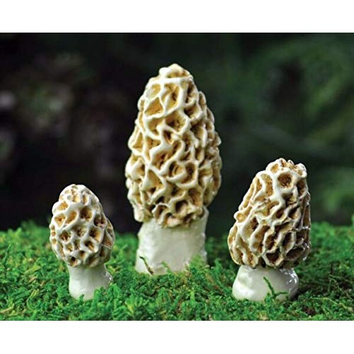 New Ornaments - Miniature Fairy Garden Morel Esculenta Mushrooms A...