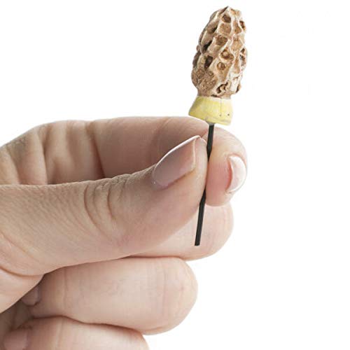 New Ornaments - Miniature Fairy Garden Morel Esculenta Mushrooms A...