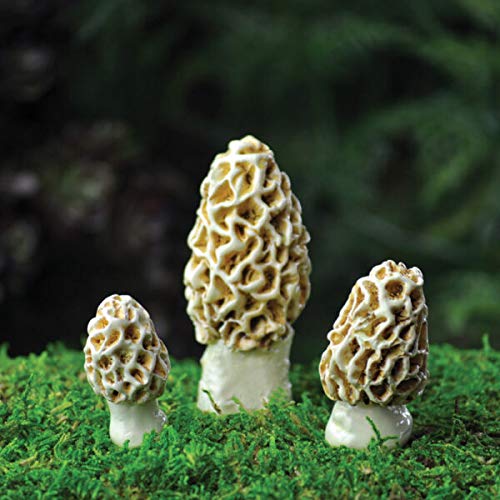 New Ornaments - Miniature Fairy Garden Morel Esculenta Mushrooms A...