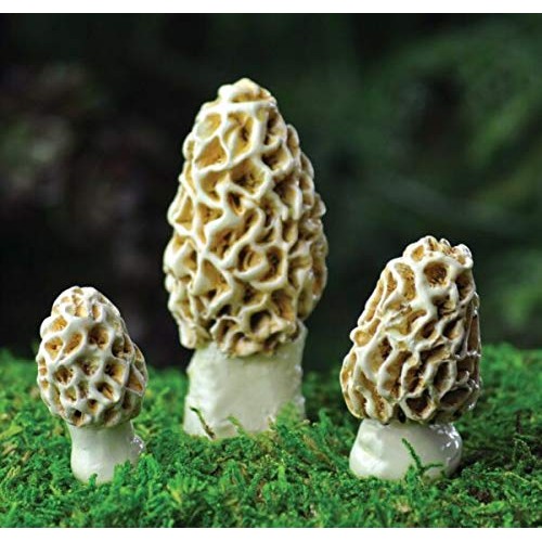 New Ornaments - Miniature Fairy Garden Morel Esculenta Mushrooms A...