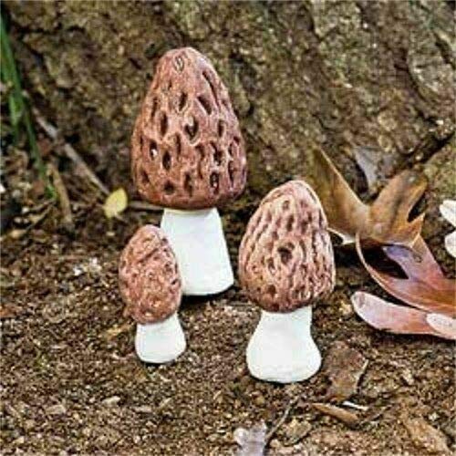 New Ornaments - Morel Mushrooms JE 61750 | Miniature Fairy Garden ...