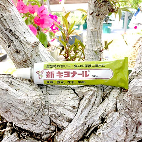 Kiyonal New Bonsai Pruning Cutting Paste 100g Made in Japan