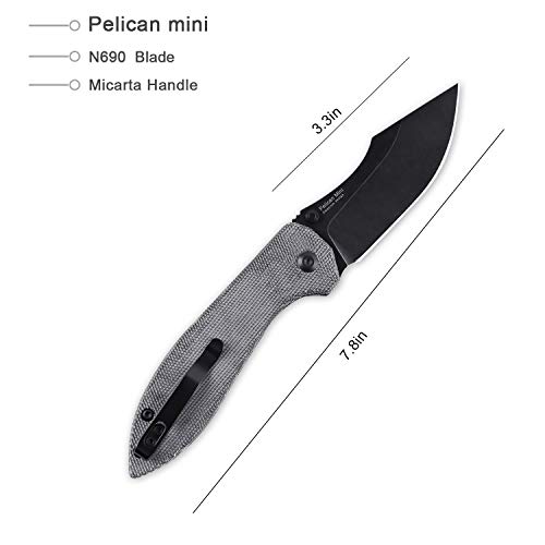 Kizer Folding Knife, Black N690 Clip Point Blade with Thumb-Stud, ...