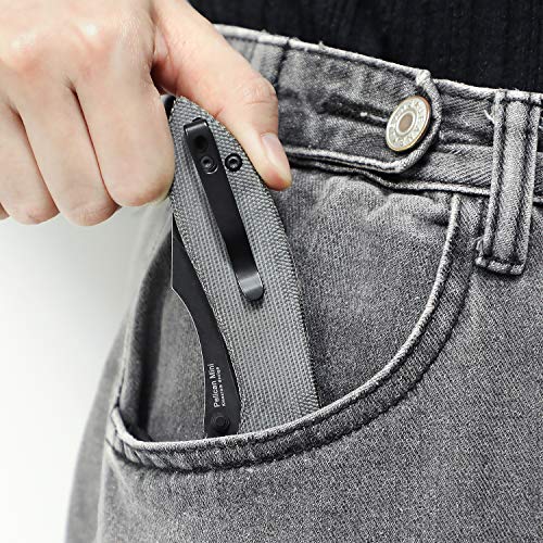 Kizer Folding Knife, Black N690 Clip Point Blade with Thumb-Stud, ...
