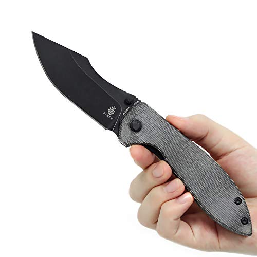Kizer Folding Knife, Black N690 Clip Point Blade with Thumb-Stud, ...