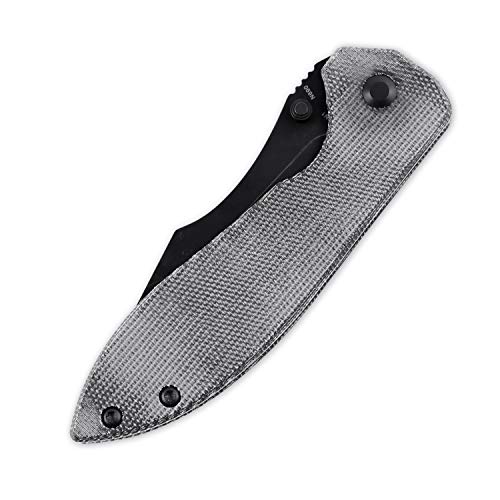 Kizer Folding Knife, Black N690 Clip Point Blade with Thumb-Stud, ...