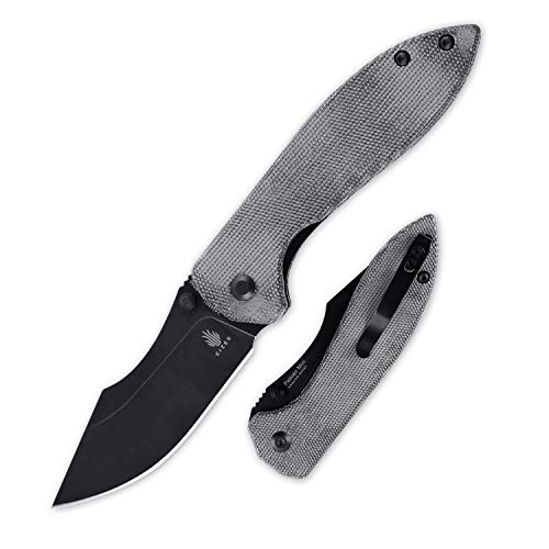 Kizer Folding Knife, Black N690 Clip Point Blade with Thumb-Stud, ...
