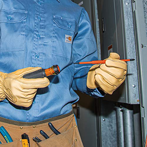 Klein Tools 32293 Insulated Screwdriver, 2-in-1 Screwdriver Set wi...