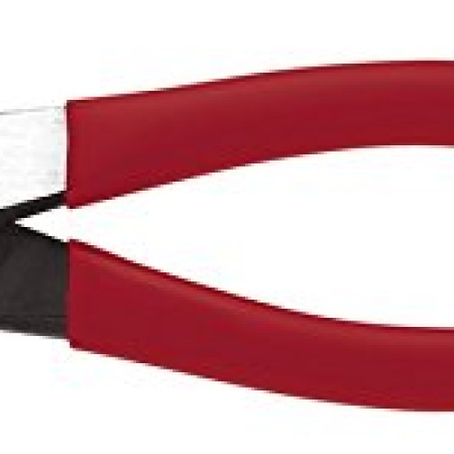 Klein Tools D243-8 Pliers, Diagonal Cutting Pliers with Wire Strip...