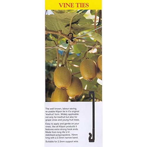 Klipon Doyles Thornless BlackBerry Recommends Vine Ties 2.5 Inch ...