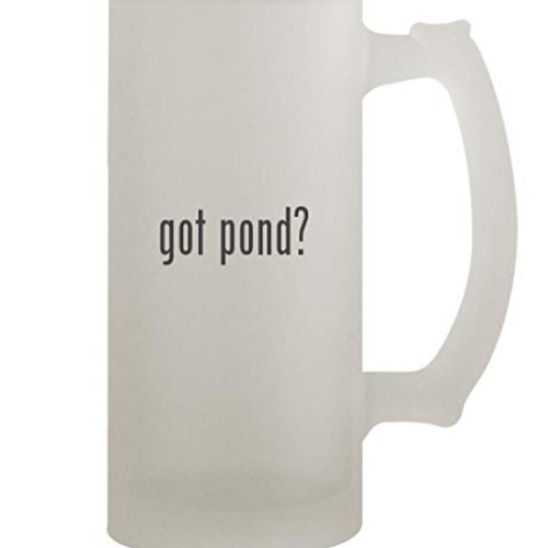 got pond? - 16oz Frosted Beer Stein, Frosted