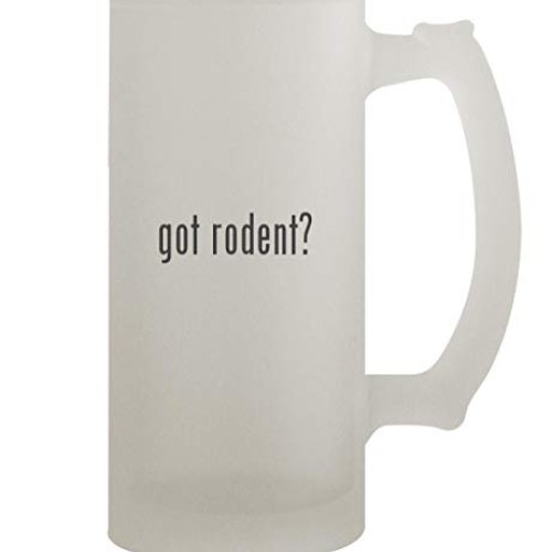 got rodent? - 16oz Frosted Beer Stein, Frosted