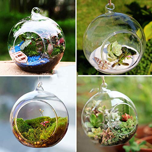 KNIKGLASS 80MM Hanging Glass Tealight Holder Globe Plant Terrarium...
