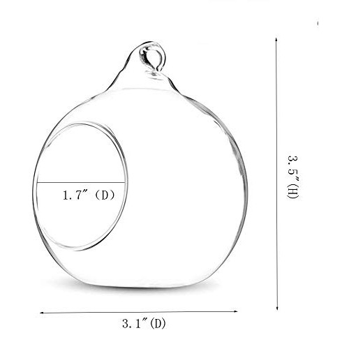 KNIKGLASS 80MM Hanging Glass Tealight Holder Globe Plant Terrarium...