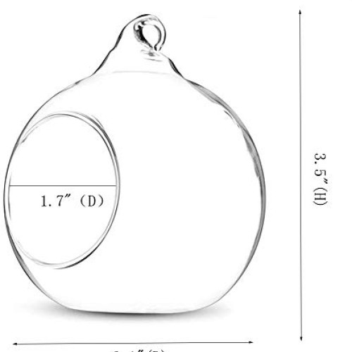 KNIKGLASS 80MM Hanging Glass Tealight Holder Globe Plant Terrarium...