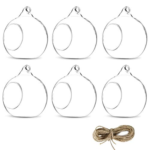 KNIKGLASS 80MM Hanging Glass Tealight Holder Globe Plant Terrarium...