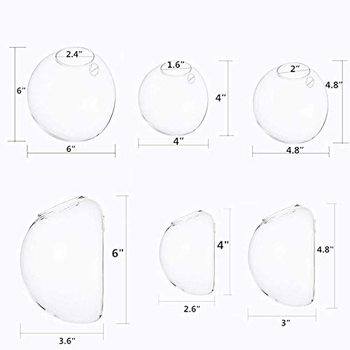 Set of 3 Wall Hanging Terrariums Indoor Plants Holders Wall Glass ...