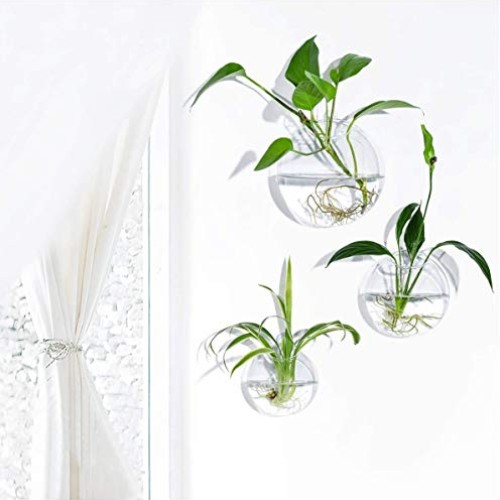 Set of 3 Wall Hanging Terrariums Indoor Plants Holders Wall Glass ...