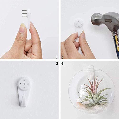 Set of 3 Wall Hanging Terrariums Indoor Plants Holders Wall Glass ...