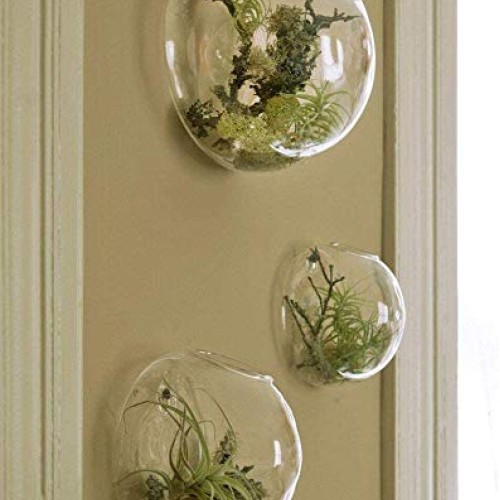 Set of 3 Wall Hanging Terrariums Indoor Plants Holders Wall Glass ...