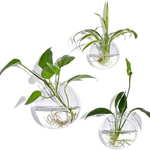 Set of 3 Wall Hanging Terrariums Indoor Plants Holders Wall Glass ...