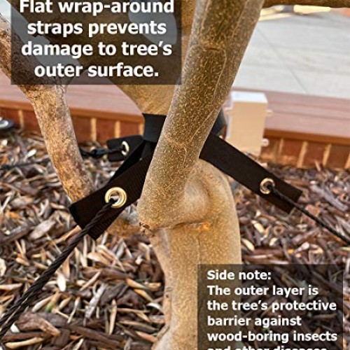KOGEN Professional Finish Tree Stakes Kit | Anchor Support with St...