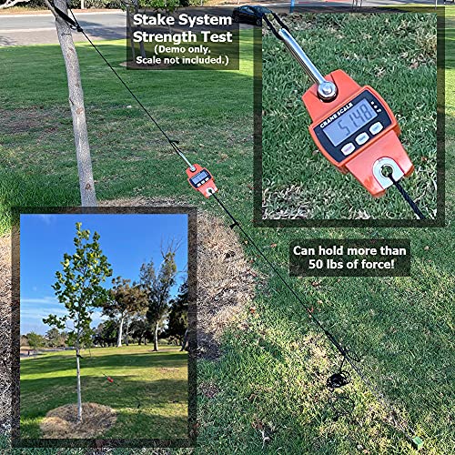 KOGEN Professional Finish Tree Stakes Kit | Anchor Support with St...