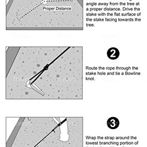 KOGEN Professional Finish Tree Stakes Kit | Anchor Support with St...